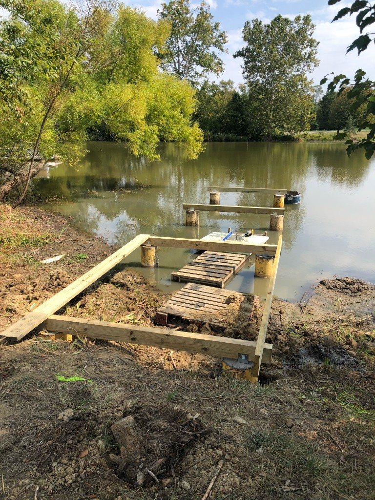 Dock framing supported by posts in a pond
